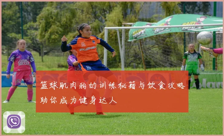 篮球肌肉狗的训练秘籍与饮食攻略助你成为健身达人