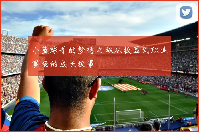 小篮球手的梦想之旅从校园到职业赛场的成长故事
