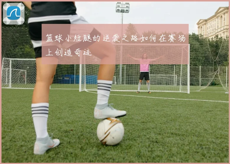 篮球小短腿的逆袭之路如何在赛场上创造奇迹