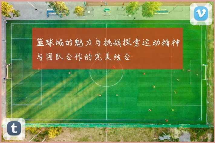 篮球域的魅力与挑战探索运动精神与团队合作的完美结合