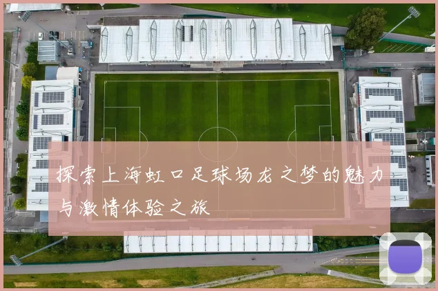 探索上海虹口足球场龙之梦的魅力与激情体验之旅